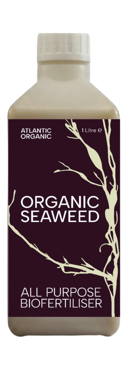 Organic Seaweed Biofertiliser