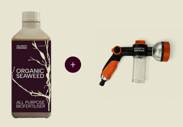 Organic Seaweed Fertiliser + Hose Sprayer Bundle